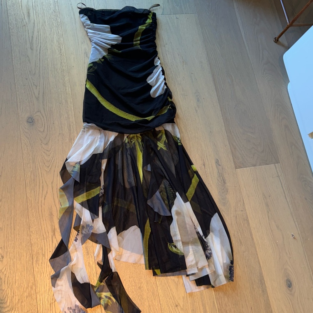 Zara sheer dress